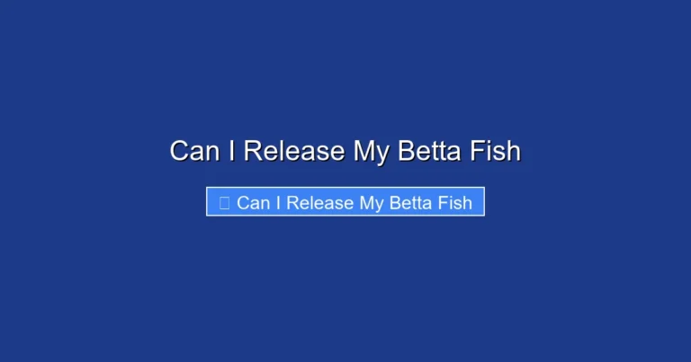 Can I Release My Betta Fish