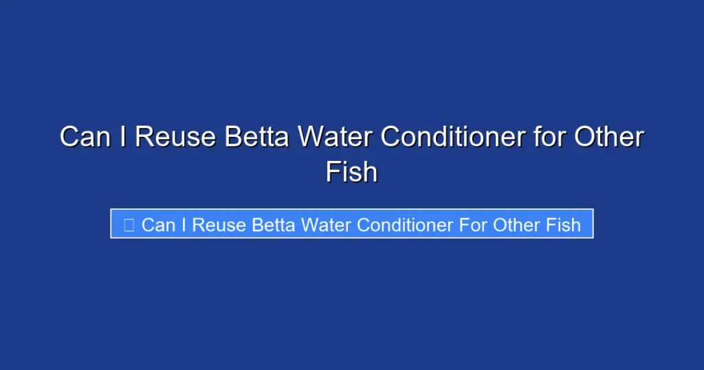 Can I Reuse Betta Water Conditioner for Other Fish