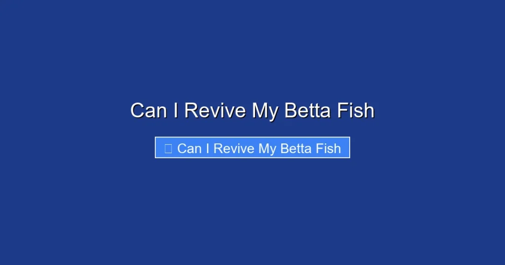 Can I Revive My Betta Fish