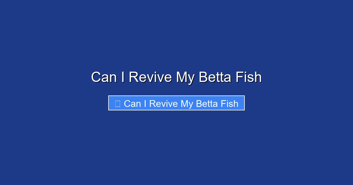 Can I Revive My Betta Fish