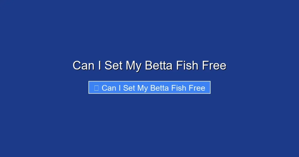 Can I Set My Betta Fish Free