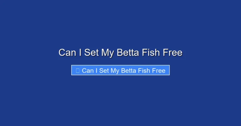 Can I Set My Betta Fish Free