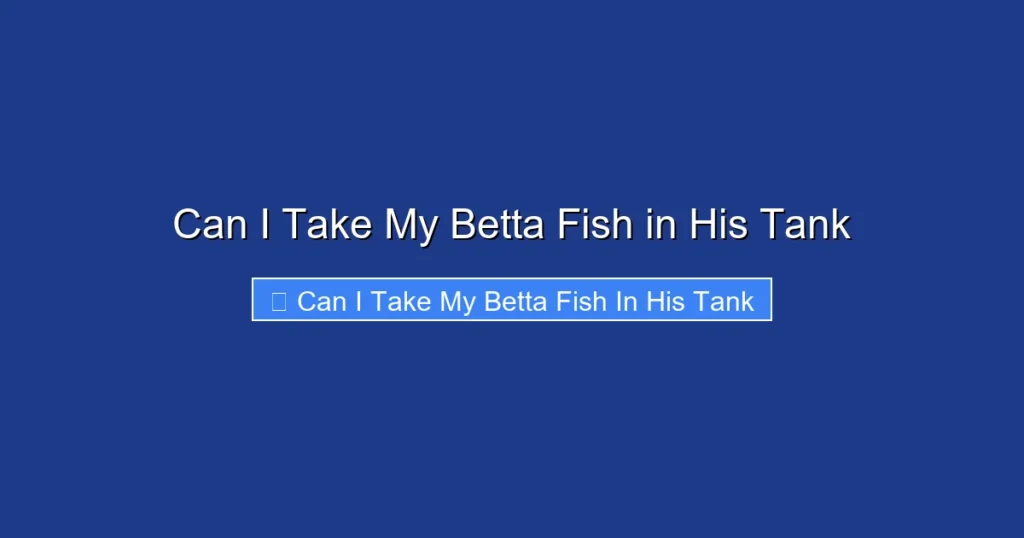Can I Take My Betta Fish in His Tank