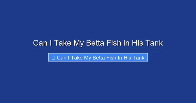 Can I Take My Betta Fish in His Tank