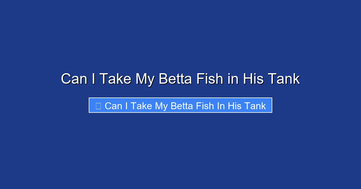 Can I Take My Betta Fish in His Tank