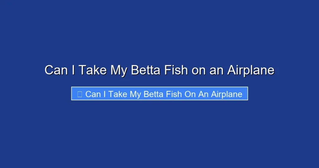 Can I Take My Betta Fish on an Airplane