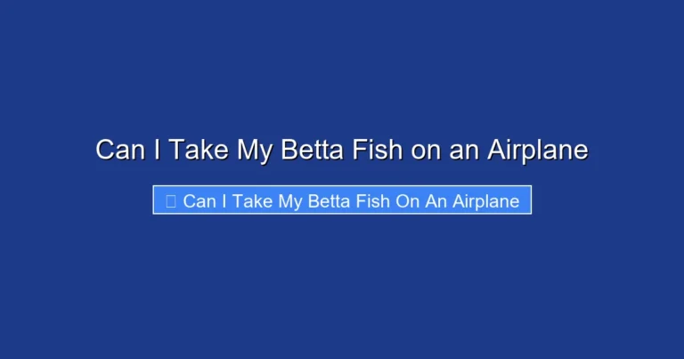 Can I Take My Betta Fish on an Airplane