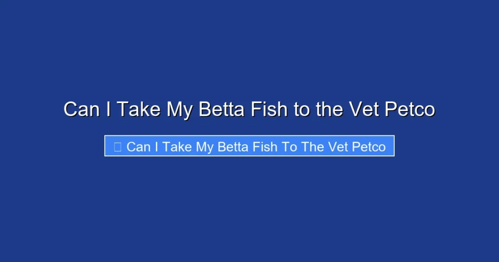 Can I Take My Betta Fish to the Vet Petco