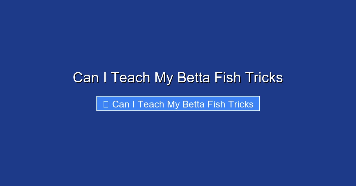 Can I Teach My Betta Fish Tricks