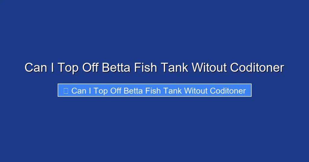 Can I Top Off Betta Fish Tank Witout Coditoner