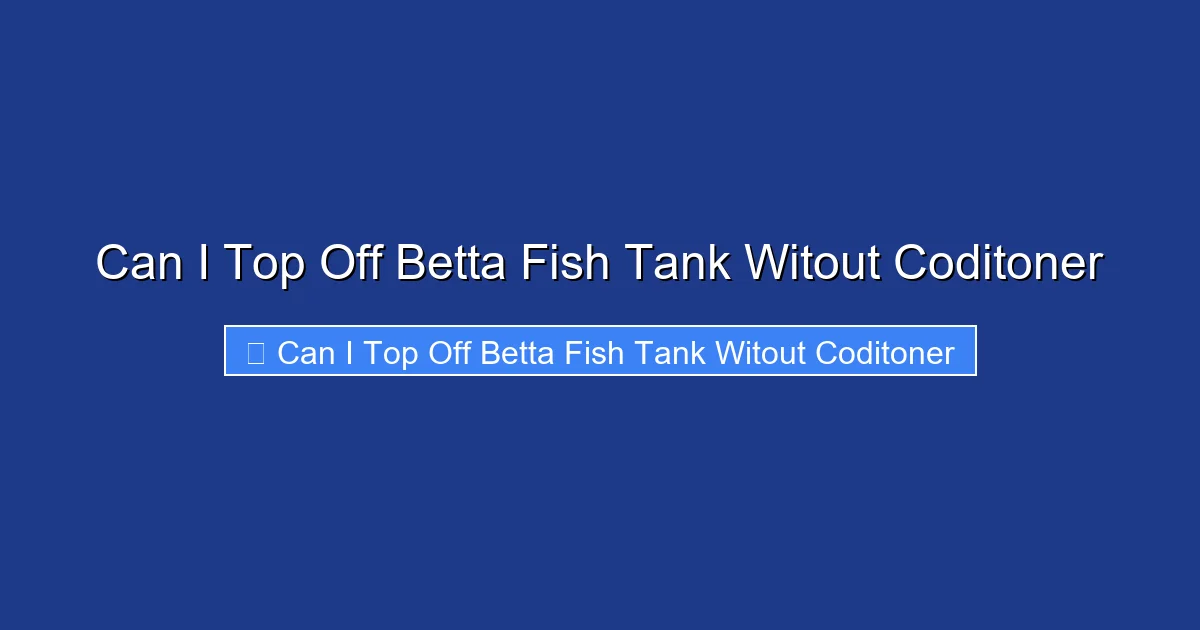 Can I Top Off Betta Fish Tank Witout Coditoner