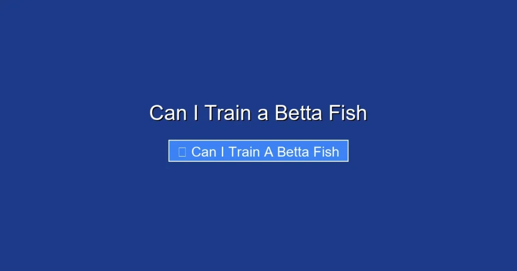 Can I Train a Betta Fish