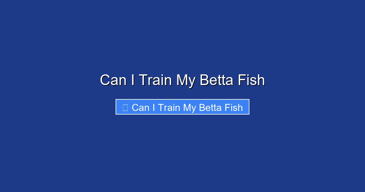 Can I Train My Betta Fish
