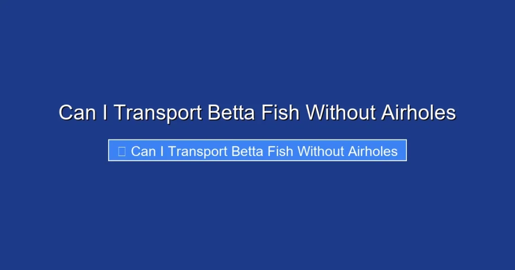 Can I Transport Betta Fish Without Airholes