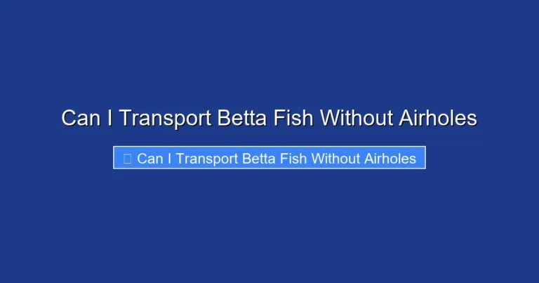 Can I Transport Betta Fish Without Airholes