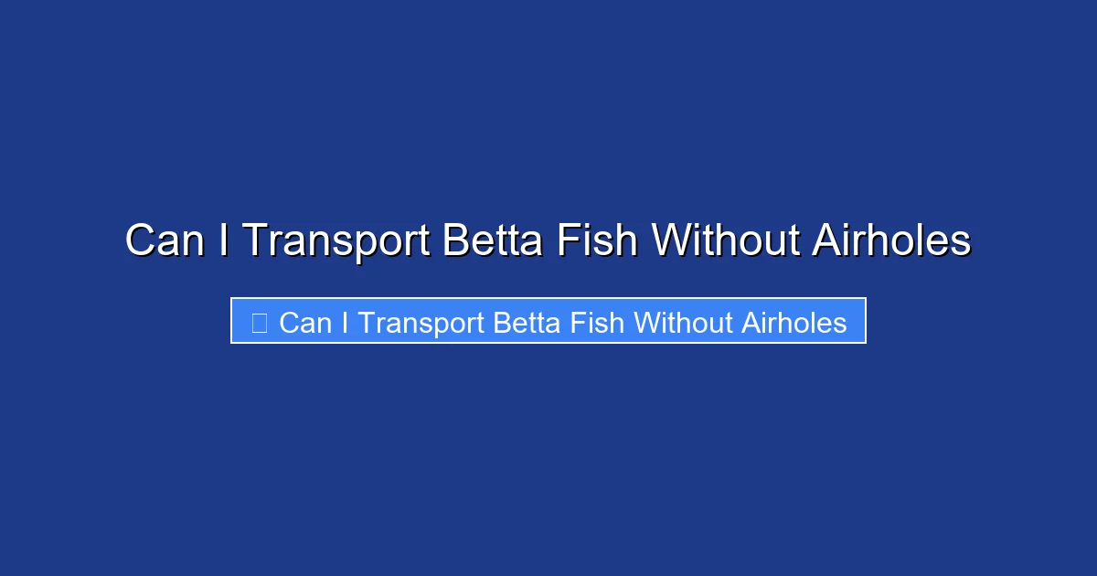Can I Transport Betta Fish Without Airholes