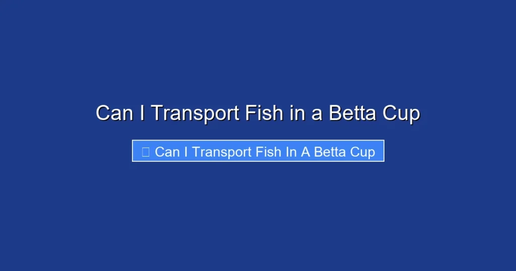 Can I Transport Fish in a Betta Cup