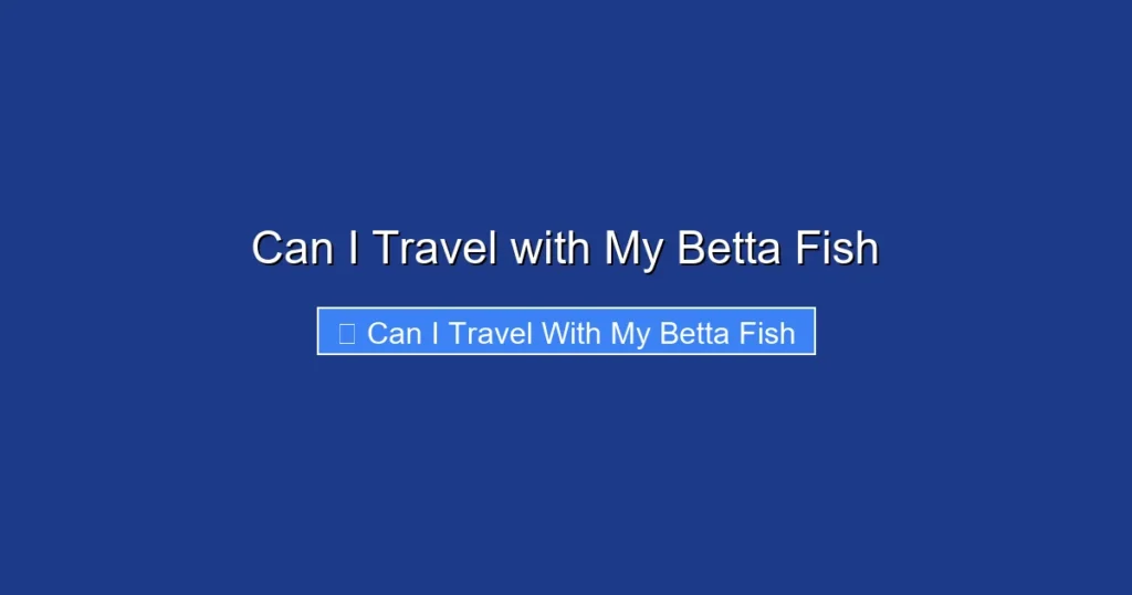 Can I Travel with My Betta Fish