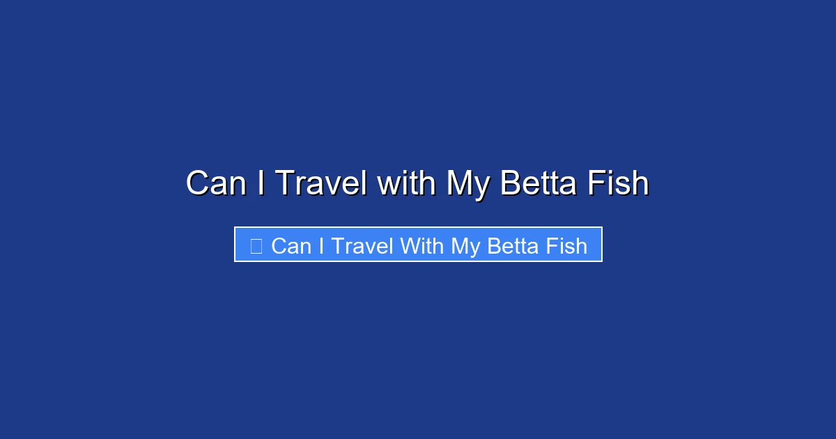 Can I Travel with My Betta Fish