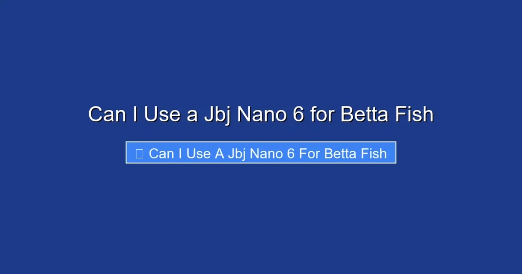 Can I Use a Jbj Nano 6 for Betta Fish