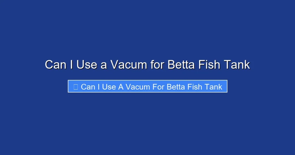Can I Use a Vacum for Betta Fish Tank