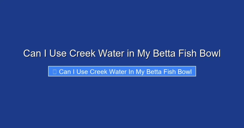 Can I Use Creek Water in My Betta Fish Bowl