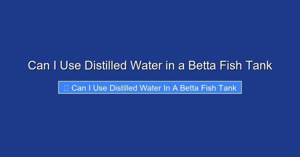 Can I Use Distilled Water in a Betta Fish Tank