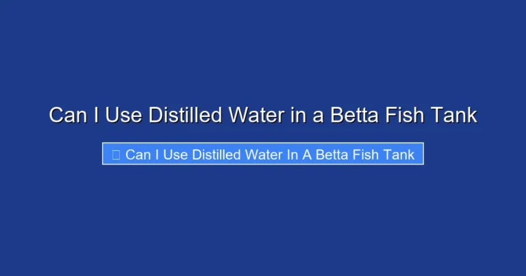 Can I Use Distilled Water in a Betta Fish Tank