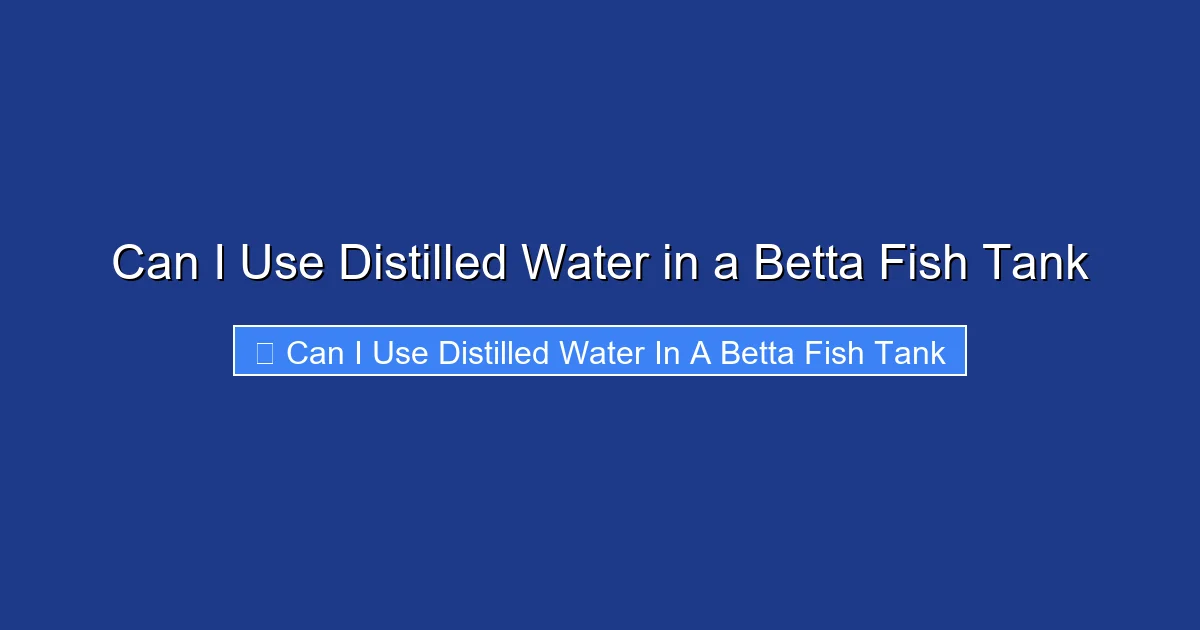 Can I Use Distilled Water in a Betta Fish Tank