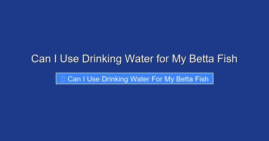 Can I Use Drinking Water for My Betta Fish