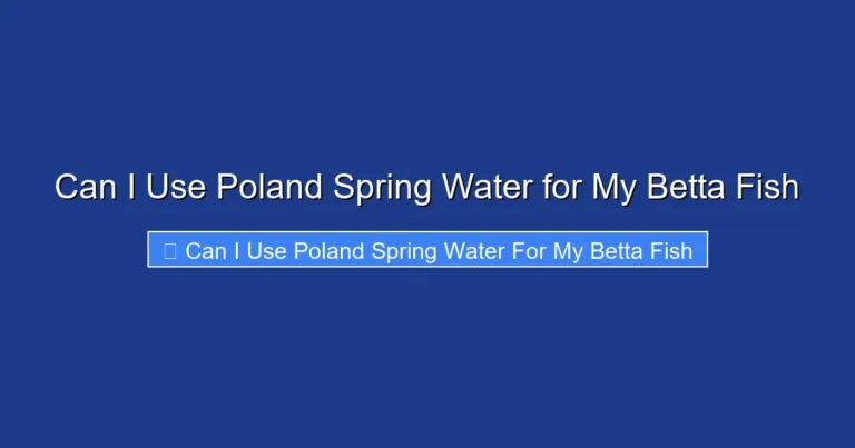 Can I Use Poland Spring Water for My Betta Fish