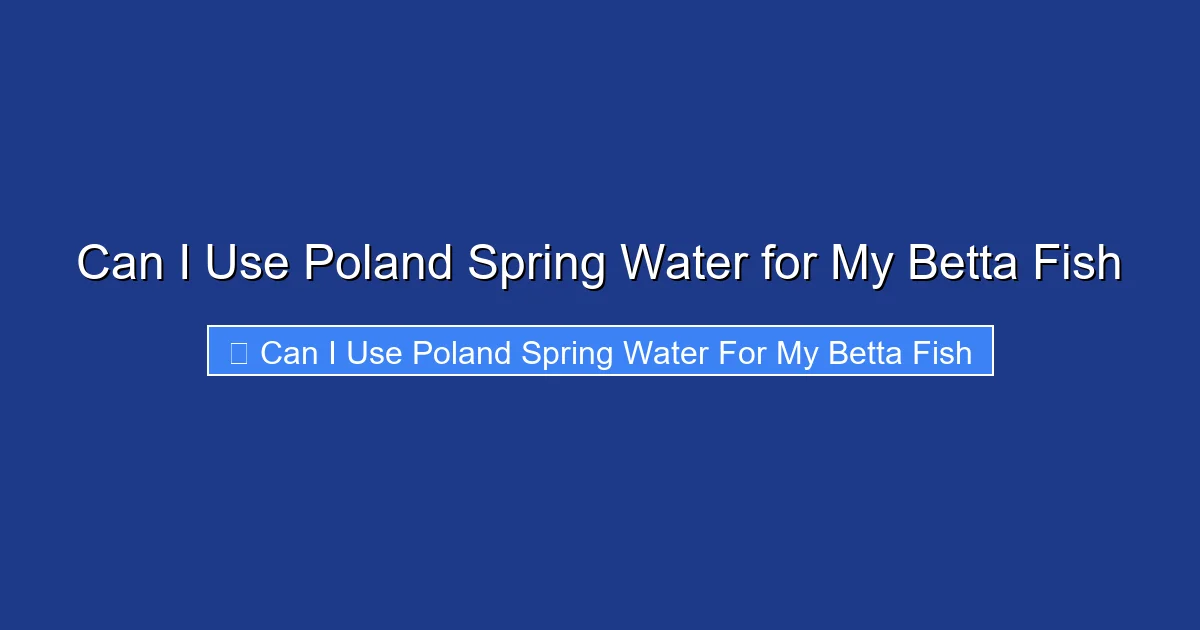 Can I Use Poland Spring Water for My Betta Fish