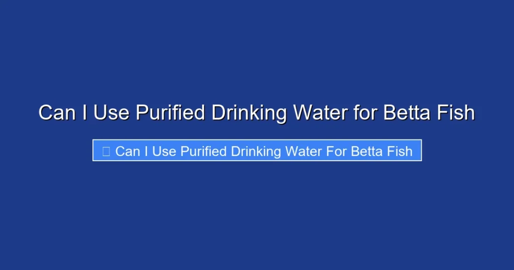 Can I Use Purified Drinking Water for Betta Fish
