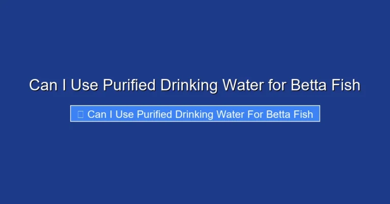 Can I Use Purified Drinking Water for Betta Fish