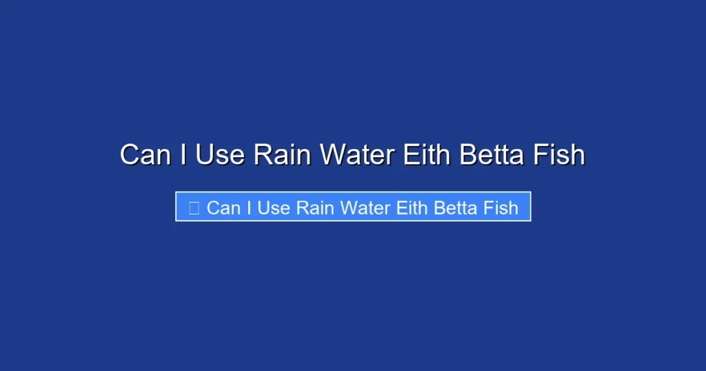 Can I Use Rain Water Eith Betta Fish