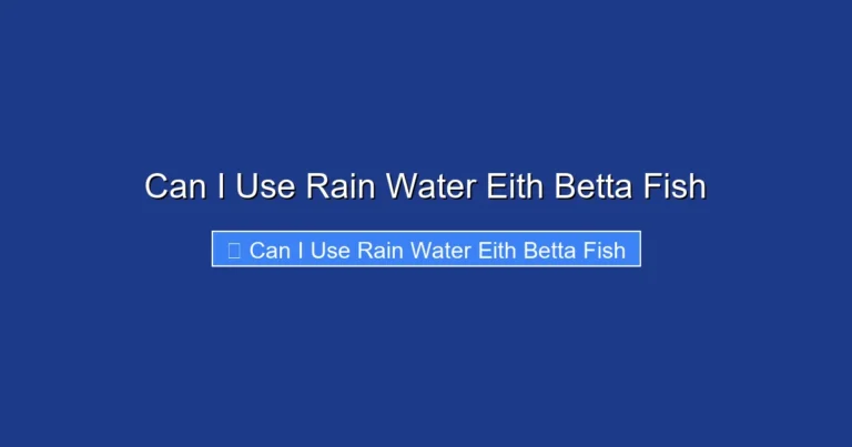 Can I Use Rain Water Eith Betta Fish