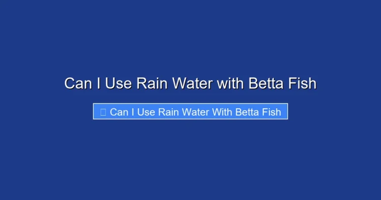 Can I Use Rain Water with Betta Fish
