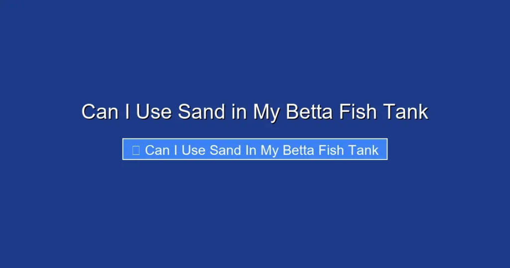 Can I Use Sand in My Betta Fish Tank