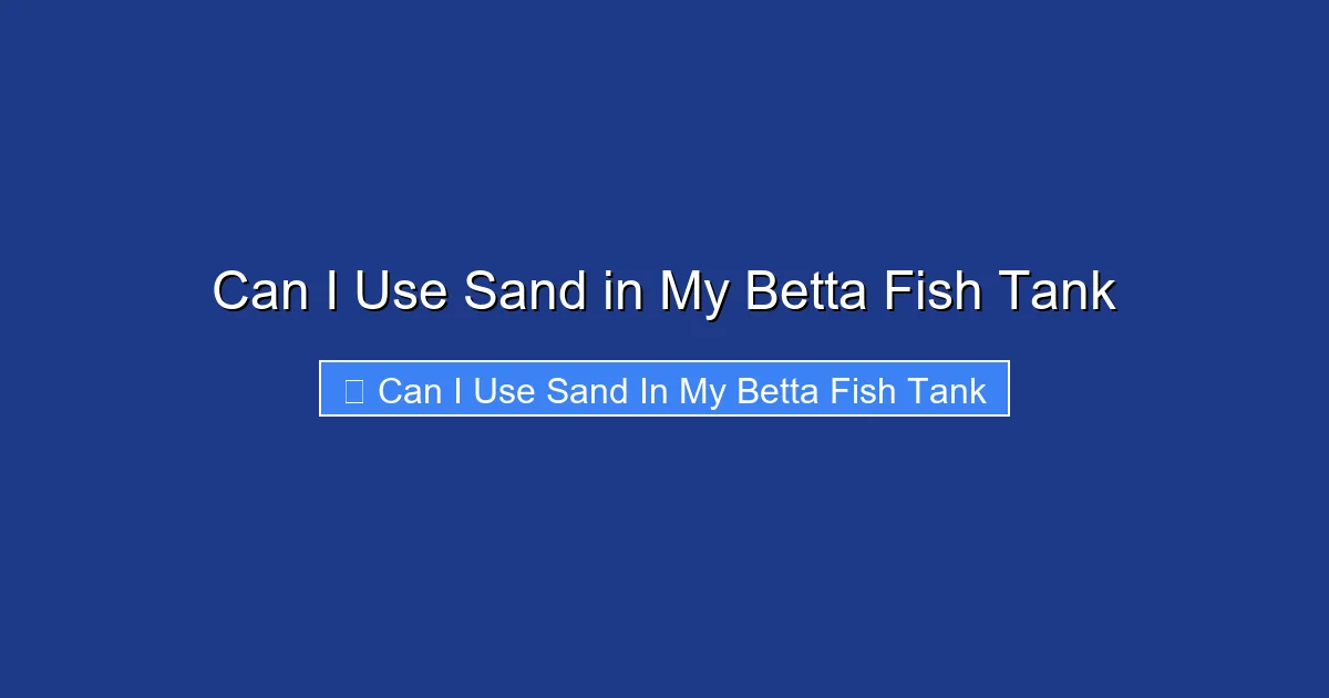 Can I Use Sand in My Betta Fish Tank
