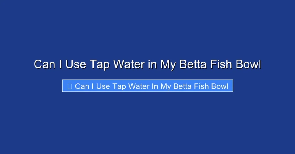 Can I Use Tap Water in My Betta Fish Bowl