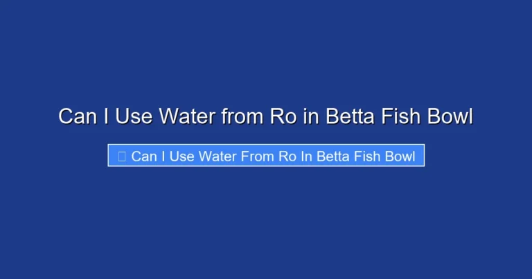 Can I Use Water from Ro in Betta Fish Bowl