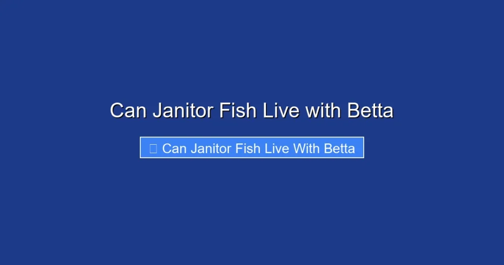 Can Janitor Fish Live with Betta
