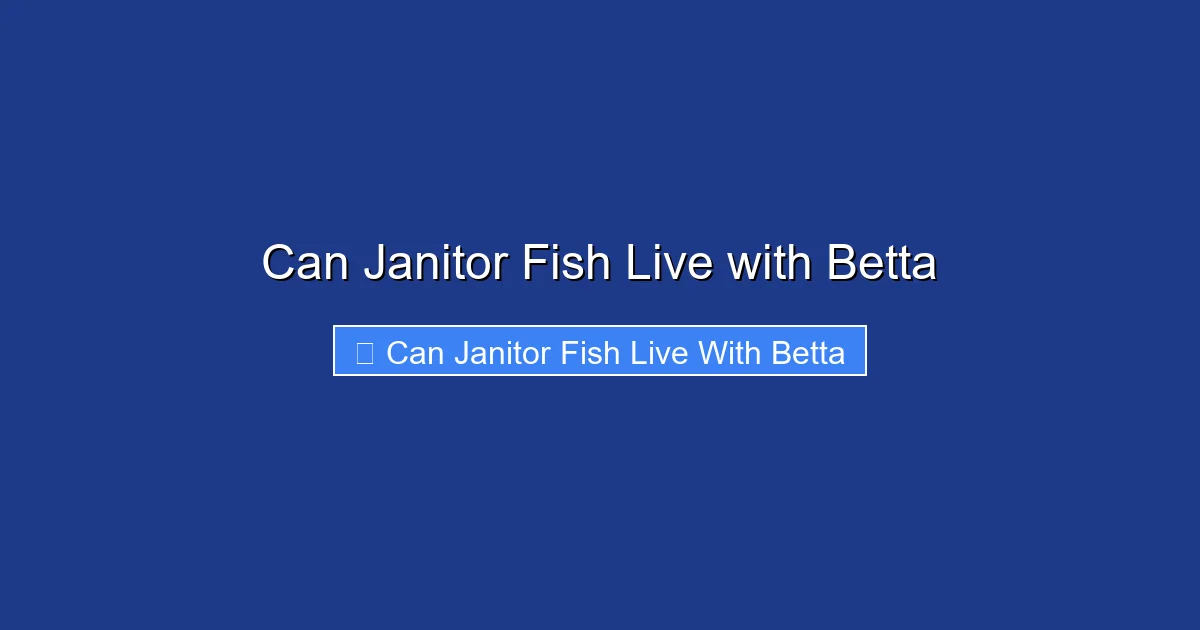 Can Janitor Fish Live with Betta