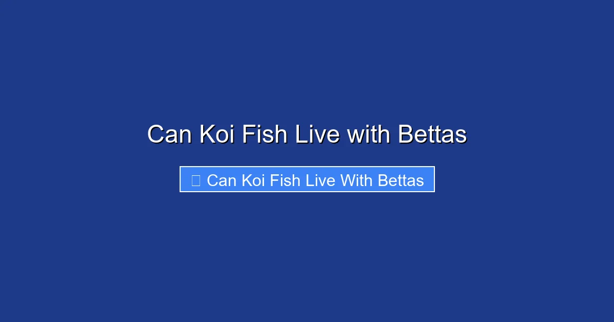 Can Koi Fish Live with Bettas