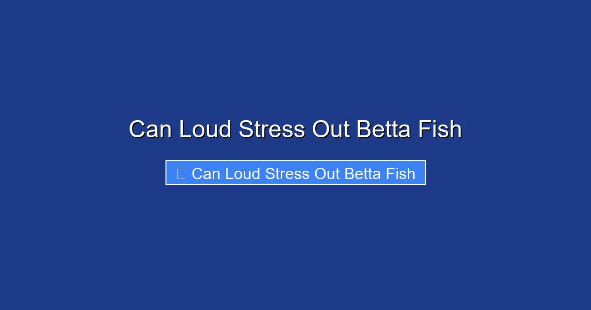 Can Loud Stress Out Betta Fish