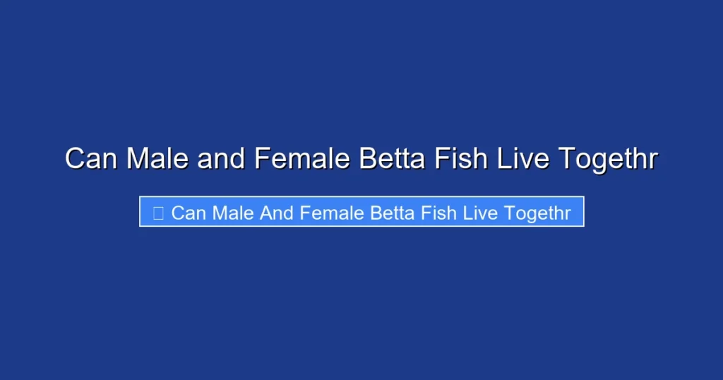 Can Male and Female Betta Fish Live Togethr
