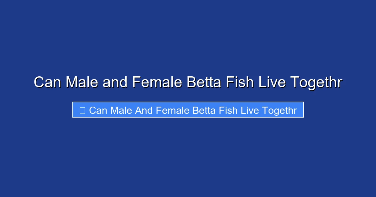 Can Male and Female Betta Fish Live Togethr