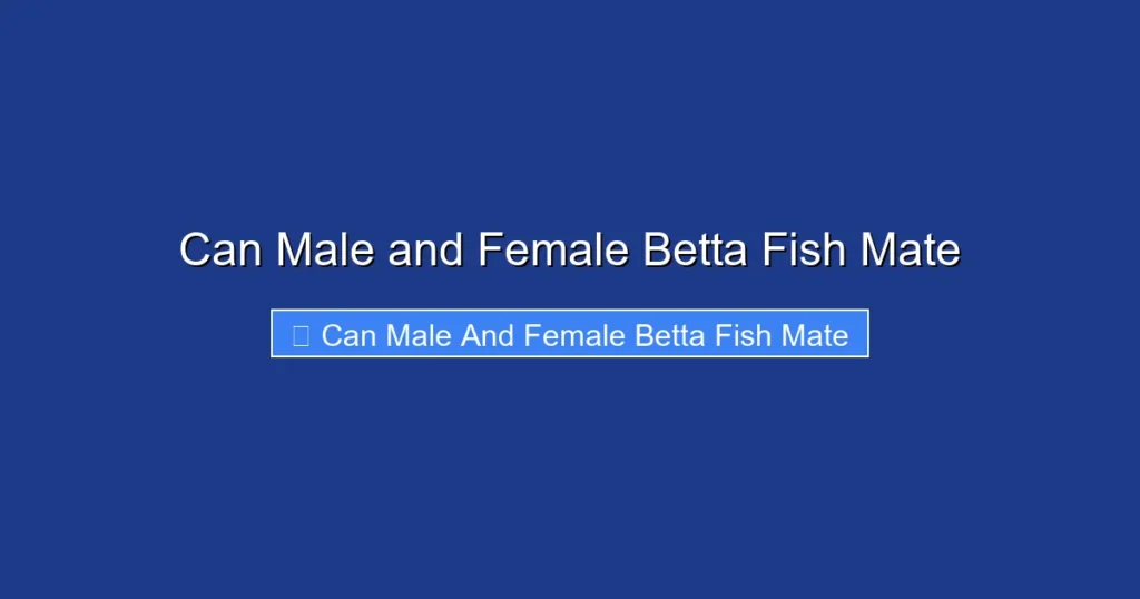 Can Male and Female Betta Fish Mate