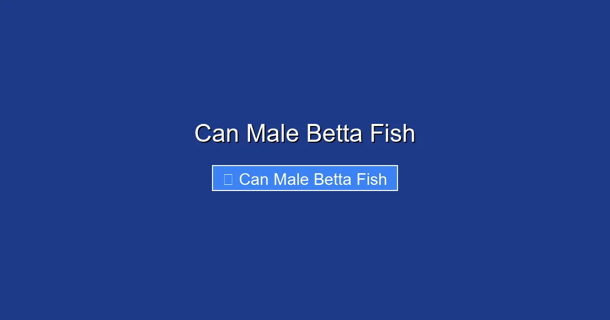 Can Male Betta Fish