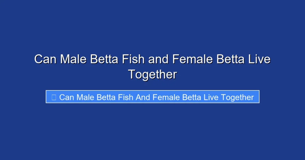 Can Male Betta Fish and Female Betta Live Together